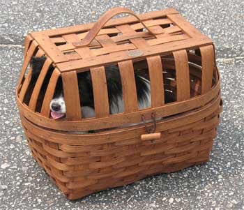 W-PETCARRIER
